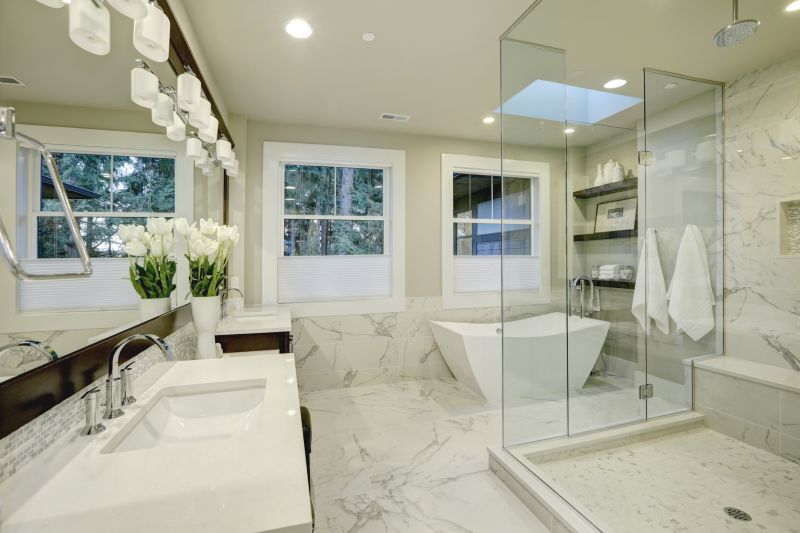 Elegant Shower with Frameless Glass